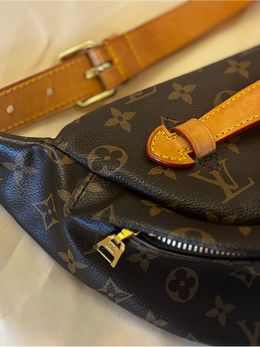 Louis Vuitton Bum Bag